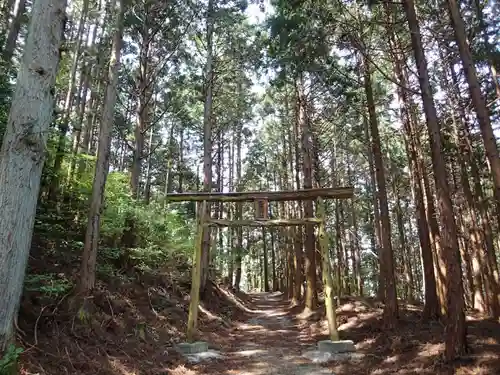 立岩神社の鳥居