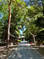 琴似神社(北海道)