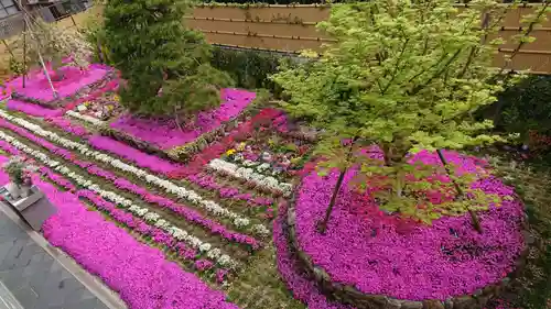 寿量山　速成寺の庭園