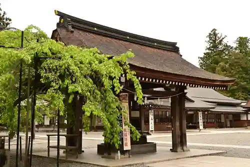 多賀大社(滋賀県)