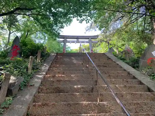 駒込富士神社の鳥居
