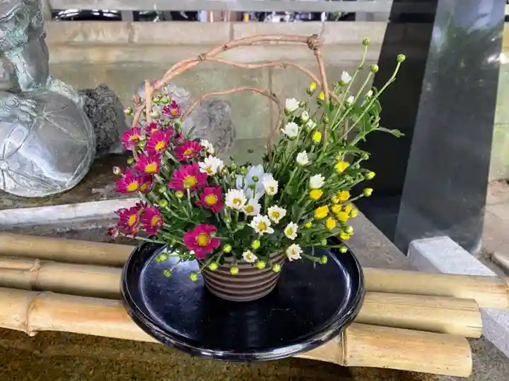 千住本氷川神社の手水舎