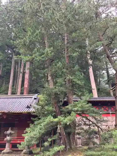 日光山輪王寺 大猷院(栃木県)
