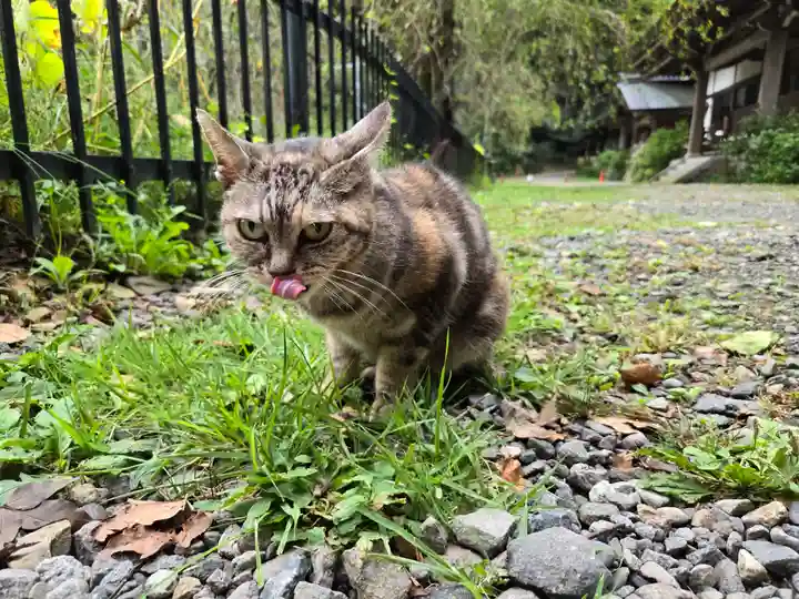 釋尊寺(長野県)