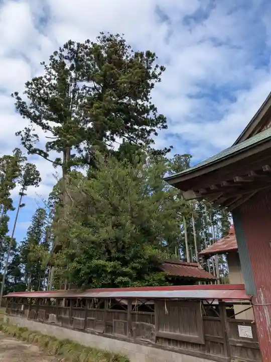 鹿嶋三嶋神社(茨城県)