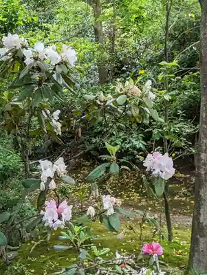 法金剛院(京都府)