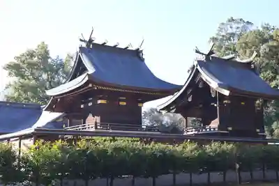 鷲宮神社(埼玉県)