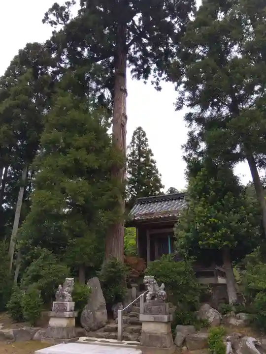 八幡神社(福井県)