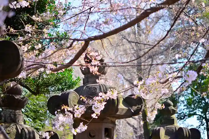 上野東照宮(東京都)