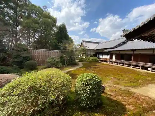 隨心院（随心院）の庭園