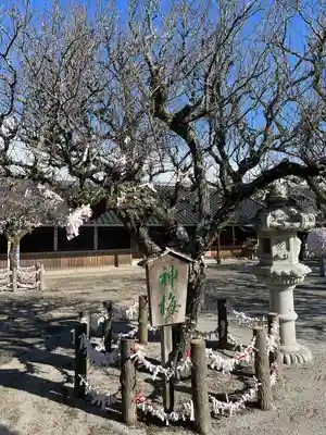 綱敷天満宮(福岡県)