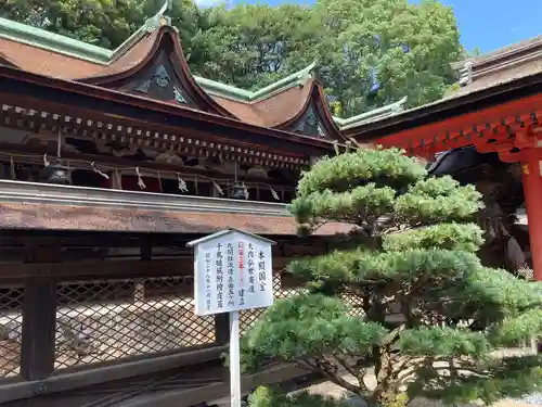住吉神社(山口県)