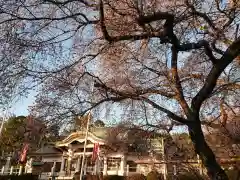 富士浅間神社の本殿