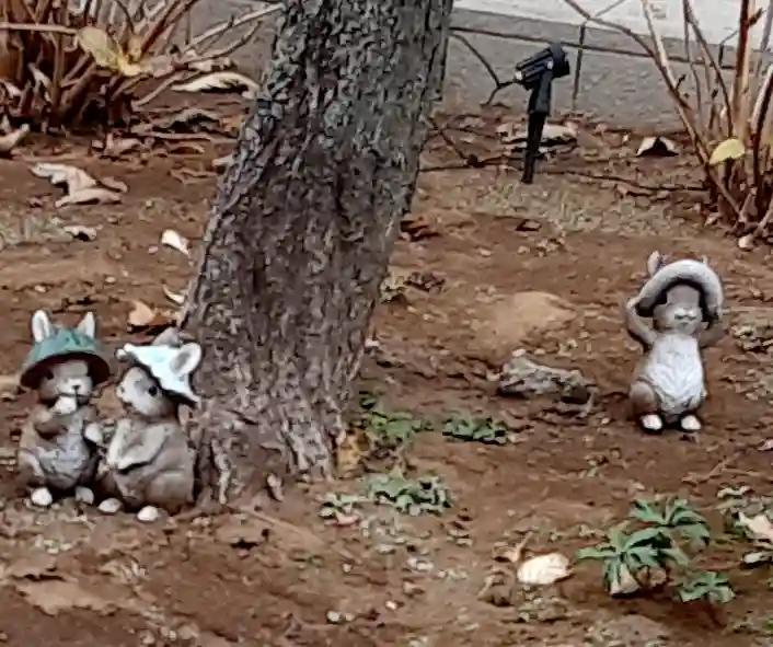 法輪寺(東京都)