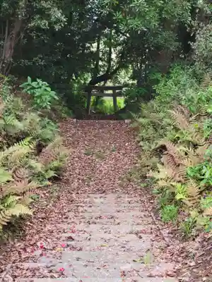 伊豫岡八幡神社(愛媛県)
