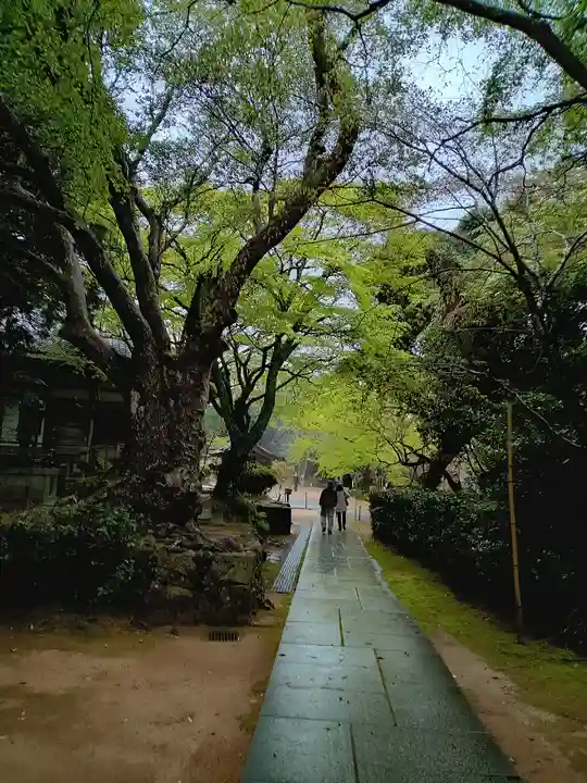 花山院菩提寺(兵庫県)