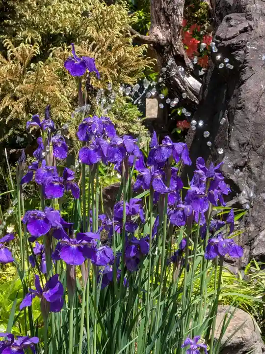 常性寺(東京都)