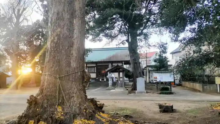 天照神社(千葉県)