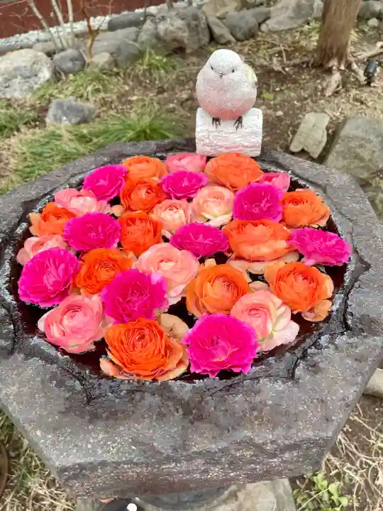 法輪寺の{uncategorized: "未分類", other: "その他", undefined: "問題あり", building: "その他建物", grave: "お墓", sacred_gate: "鳥居", guardian: "狛犬", statue: "像", buddha: "仏像", history: "歴史", nature: "自然", garden: "庭園", animal: "動物", pagoda: "塔", temizu: "手水舎", mountain_gate: "山門・神門", sanctuary: "本殿・本堂", subordinate: "末社・摂社", art: "芸術", scenery: "景色", jizo: "地蔵", ema: "絵馬", goshuin: "御朱印", omikuji: "おみくじ", items: "授与品その他", amulet: "お守り", goshuincho: "御朱印帳", eats: "食事", festival: "お祭り", votive_dance: "神楽", shichigosan: "七五三参", wedding: "結婚式", experience: "体験その他", initially: "初詣", around: "周辺", anti_infection: "感染症対策"}