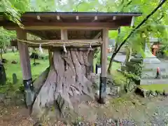 大原野神社の建物その他