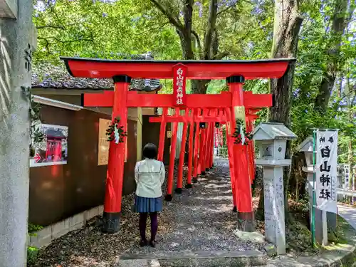 白山神社の鳥居