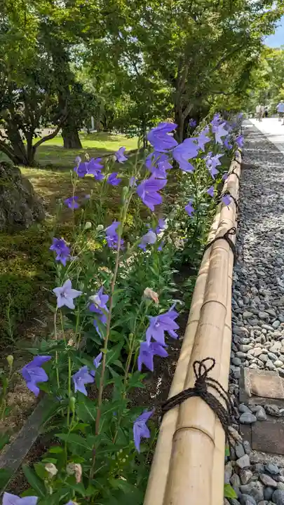智積院(京都府)