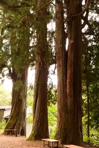 戸隠神社火之御子社(長野県)