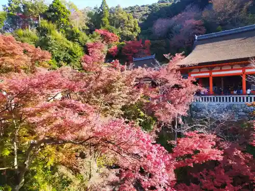 清水寺(京都府)