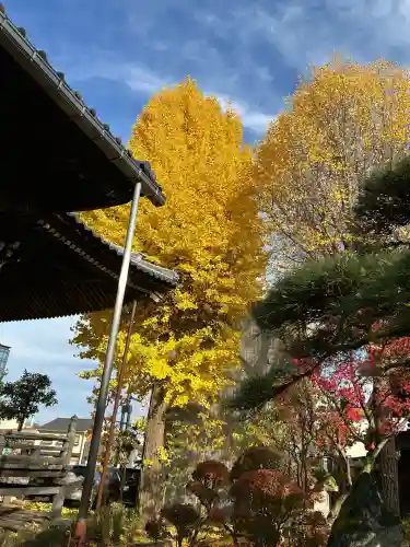 長慶寺(福井県)