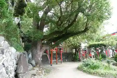 瓢箪山稲荷神社(大阪府)