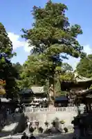 日光東照宮(栃木県)