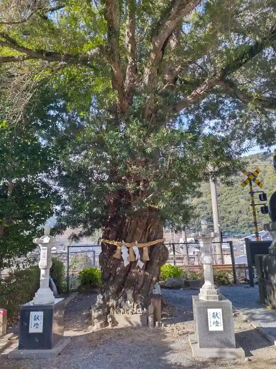 陶山神社(佐賀県)