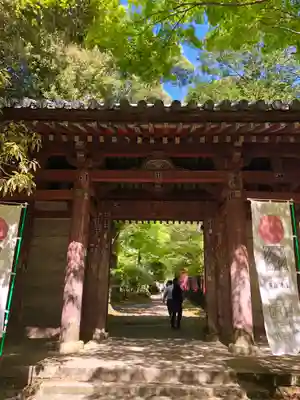 醍醐寺(京都府)
