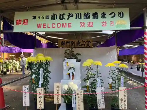 喜多院(埼玉県)