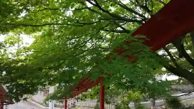 新宮神社のその他建物
