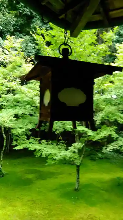 高桐院のその他建物