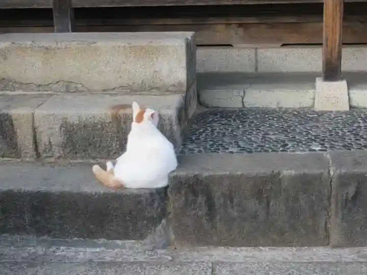成田山新勝寺(千葉県)