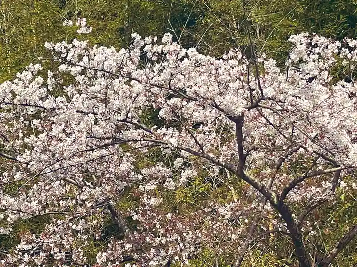 伊勢の国 四天王寺(三重県)