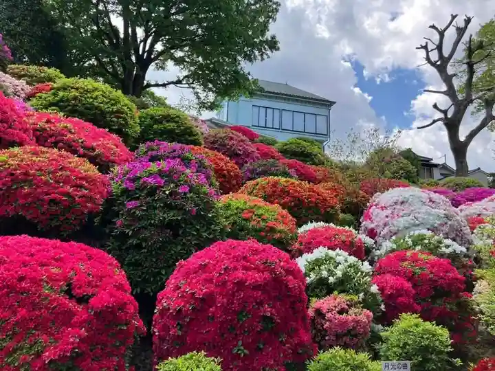根津神社(東京都)