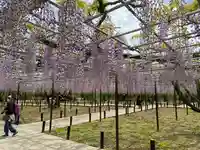 龍城神社の庭園