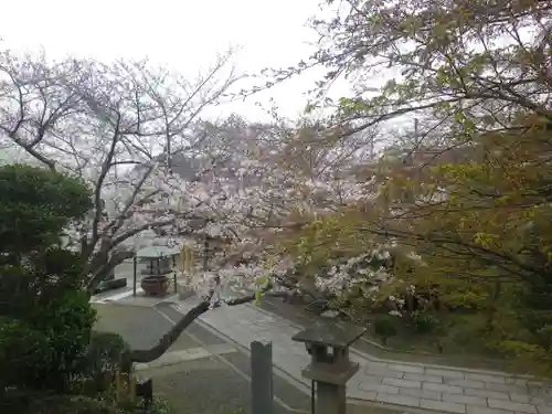 長勝寺の景色