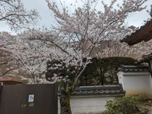 勝持寺（花の寺）(京都府)