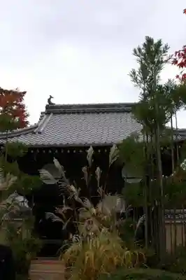 源光庵の山門・神門