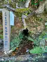 気多神社の自然