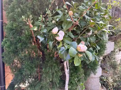 永澤寺(兵庫県)