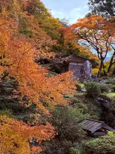 萬徳寺(福井県)
