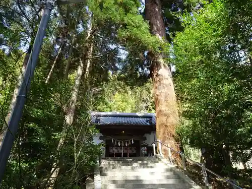 田間神社の本殿・本堂