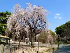 大報恩寺（千本釈迦堂）(京都府)