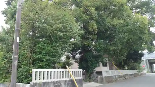 渡神社(静岡県)