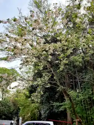 白笹稲荷神社(神奈川県)